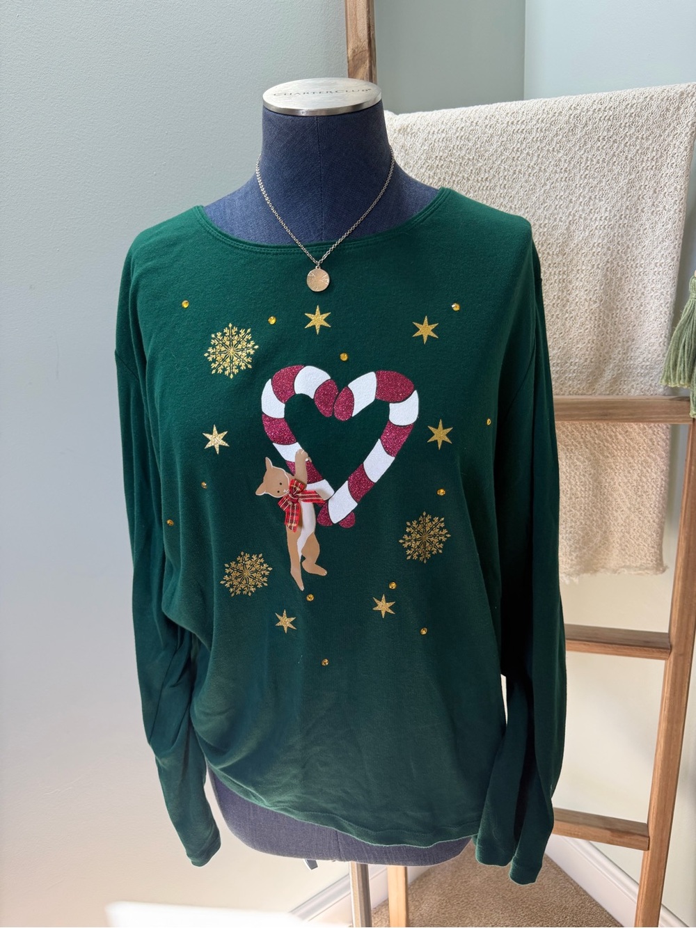 Karen Scott Green Christmas Holiday Cat Long Sleeve Top Size 2x